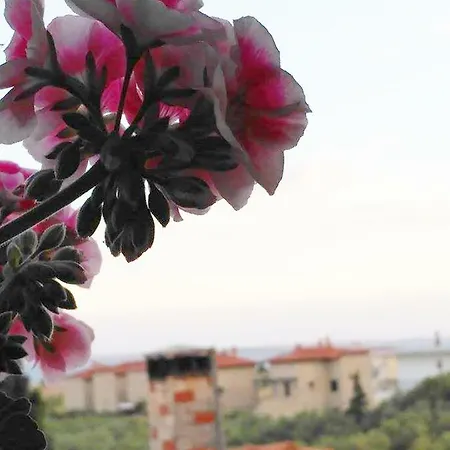Global Stone House Apartment Psakoudia